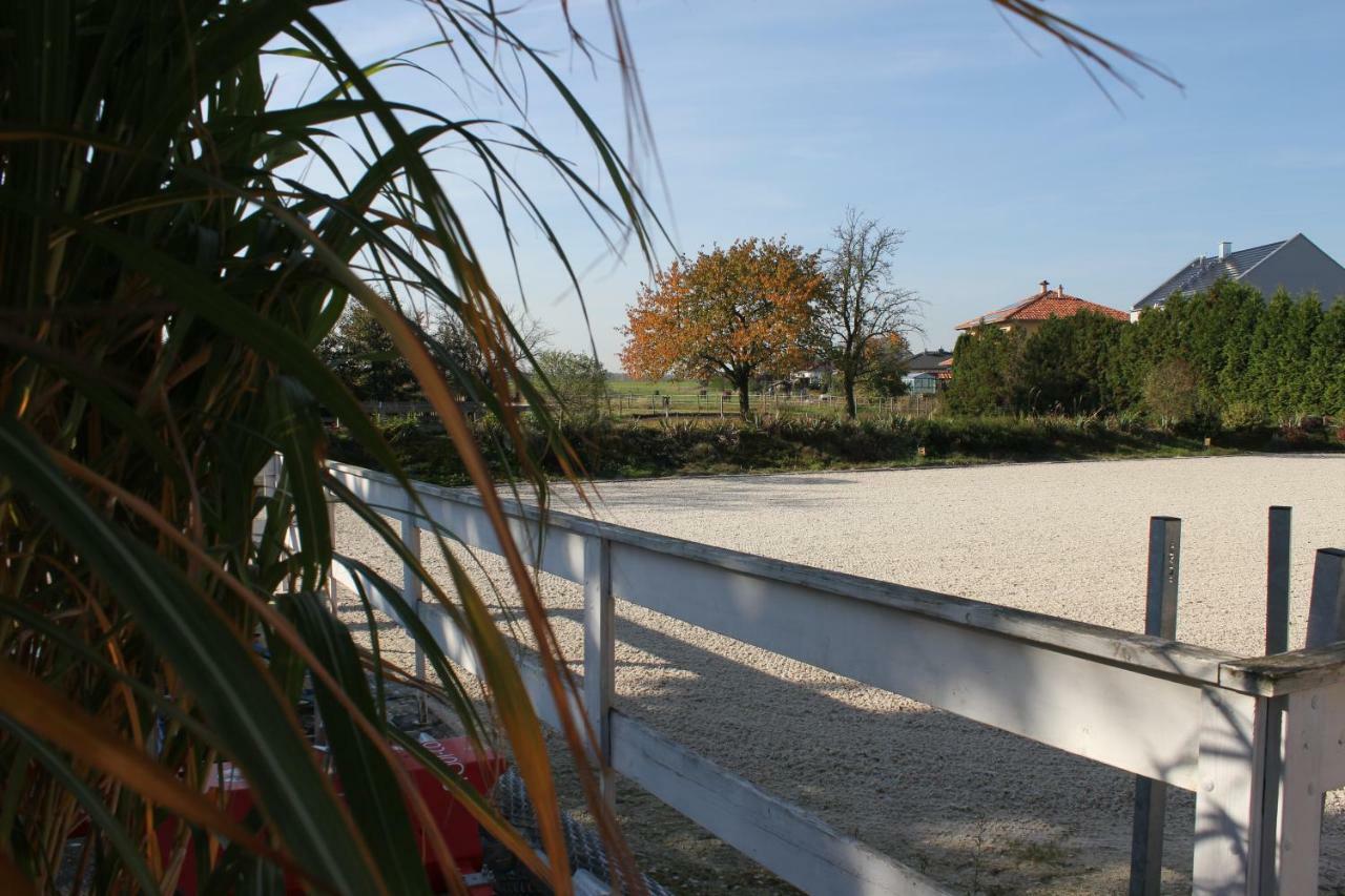 Gut Fischer Pomssen Exterior foto